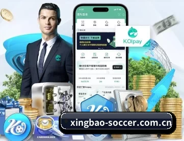星宝体育 APP 深度功能
